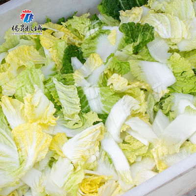 Vegetables Leaves Vegetables Onions Leafy vegetables Cabbage varieties Herbs Fruiting vegetables bubble washing machine