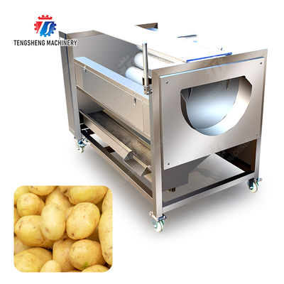 Ginger Potato Carrot Taro Sweet potato Yam Saiko persimmon Papaya Brush cleaning and peeling machine Wash Washer Washing Cleaning Dryer Frozen  processing production Destoning