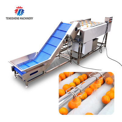 Orange Potato  Onions Ginger Potato Carrot Taro Sweet potato Yam Saiko persimmon papaya horseshoe Simple melon and fruit lifting and brush roller cleaning production line