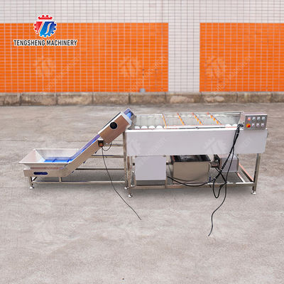 Orange Potato  Onions Ginger Potato Carrot Taro Sweet potato Yam Saiko persimmon papaya horseshoe Simple melon and fruit lifting and brush roller cleaning production line