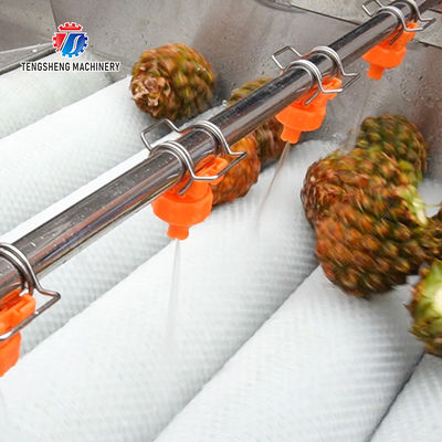 Orange Potato  Onions Ginger Potato Carrot Taro Sweet potato Yam Saiko persimmon papaya horseshoe Simple melon and fruit lifting and brush roller cleaning production line