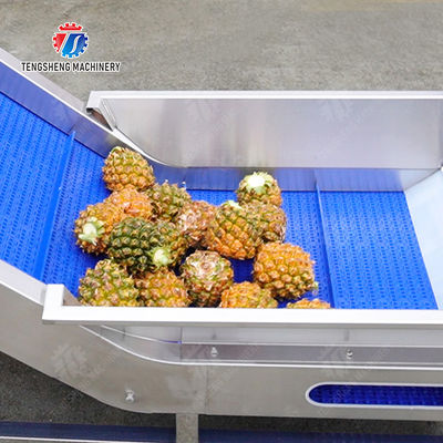 Orange Potato  Onions Ginger Potato Carrot Taro Sweet potato Yam Saiko persimmon papaya horseshoe Simple melon and fruit lifting and brush roller cleaning production line