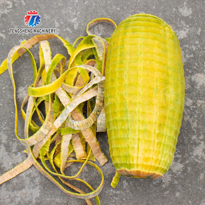 Single knife peeling machine papaya chieh-qua pumpkin wax gourd Taro Peeling polishing processing production
