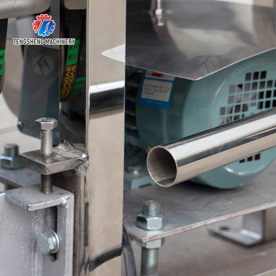 Fruit Vegetable Celery Juice kale Kale Juice Spinach juice Juice made from wild cherry plums Spiral juice extractor