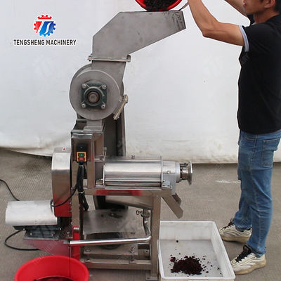 Fruit Vegetable Celery Juice kale Kale Juice Spinach juice Juice made from wild cherry plums Spiral juice extractor