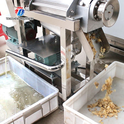 Fruit Vegetable Celery Juice kale Kale Juice Spinach juice Juice made from wild cherry plums Spiral juice extractor