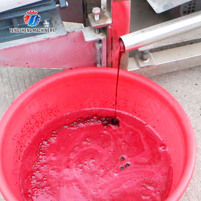 Fruit Vegetable Celery Juice kale Kale Juice Spinach juice Juice made from wild cherry plums Spiral juice extractor