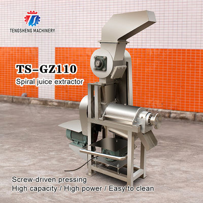 Fruit Vegetable Celery Juice kale Kale Juice Spinach juice Juice made from wild cherry plums Spiral juice extractor