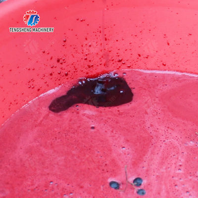 Spiral juice extractor Fruit Vegetable Celery Juice kale Kale Juice Spinach juice Juice made from wild cherry plums