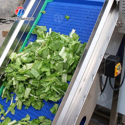Washing Hoisting machine Fruit Orange Vegetable Apple pineapple Ginger Potato Carrot Sweet potato Yam cucumber chili onion okra Lettuce Cao Xin Baby Cabbage Chinese Cabbage processing production