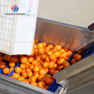 Washing Hoisting machine Fruit Orange Vegetable Apple pineapple Ginger Potato Carrot Sweet potato Yam cucumber chili onion okra Lettuce Cao Xin Baby Cabbage Chinese Cabbage processing production