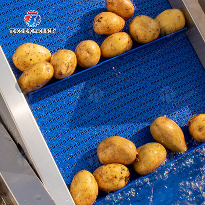 Passion Fruit Kiwi Fruit Mango Strawberry lemon ginger kale Celery apple Tomato orange Baby Cabbage Chinese Cabbage Cabbage corn chili Washer Washing Dryer  Pre-foaming elevator