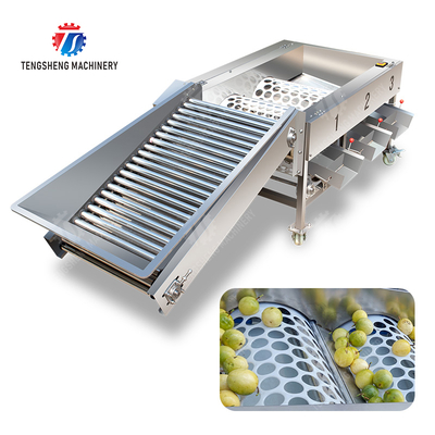 Appel Passion Fruits et légumes machine de tri tangerine fruit de passion avocat cerisier mangue poire banane manguier kiwi fruit orange légumes laitue chou céleri chou de qualité