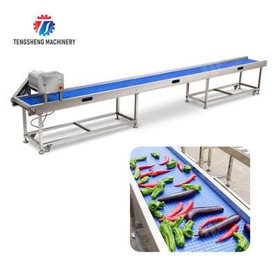 Fruit Vegetable sward beans soybeans green beans chickpeas beans red beans mung beans  green peas beans Saiko persimmon Potato Carrot radish onion chili eggplant Conveyor table