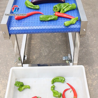 Fruit Vegetable sward beans soybeans green beans chickpeas beans red beans mung beans  green peas beans Saiko persimmon Potato Carrot radish onion chili eggplant Conveyor table