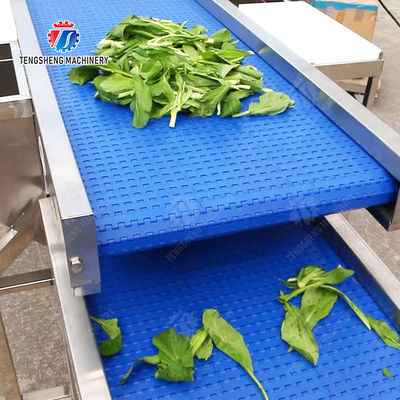 Fruit Vegetable sward beans soybeans green beans chickpeas beans red beans mung beans  green peas beans Saiko persimmon Potato Carrot radish onion chili eggplant Conveyor table