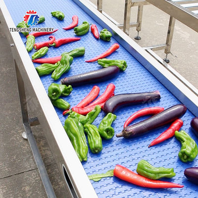 Fruit Vegetable sward beans soybeans green beans chickpeas beans red beans mung beans  green peas beans Saiko persimmon Potato Carrot radish onion chili eggplant Conveyor table