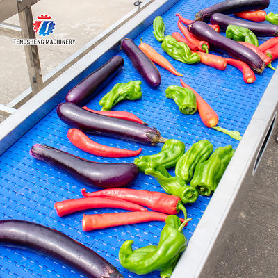 Fruit Vegetable sward beans soybeans green beans chickpeas beans red beans mung beans  green peas beans Saiko persimmon Potato Carrot radish onion chili eggplant Conveyor table