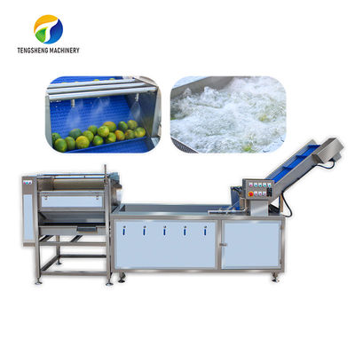 La tige d'agrume a éliminé le citron traitant la brosse industrielle de bulle d'air de machines