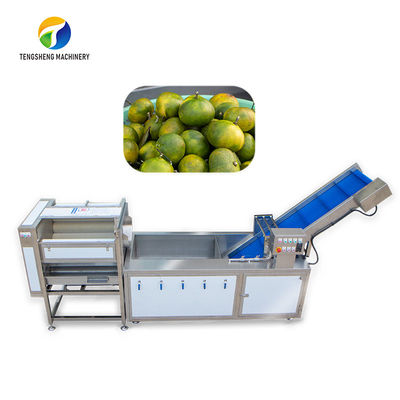 La poussière frottent la chaîne de production de fruit de Sortment nettoyage de légumes de contrôle d'ananas de bulle