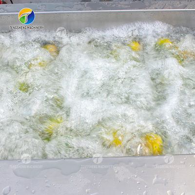 Air Brush Cleansing Citrus Processing Line ,  Anti Abrasion Sullage Removal Potato Processing Line