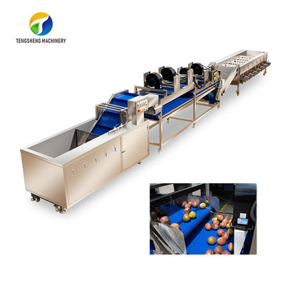 Chaîne de fabrication de pulvérisation à haute tension dégradation résiduelle industrielle de fruits et légumes de Tengsheng