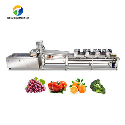Chaîne de fabrication vibration des fruits et légumes 4.5KW vidangeant l'équipement