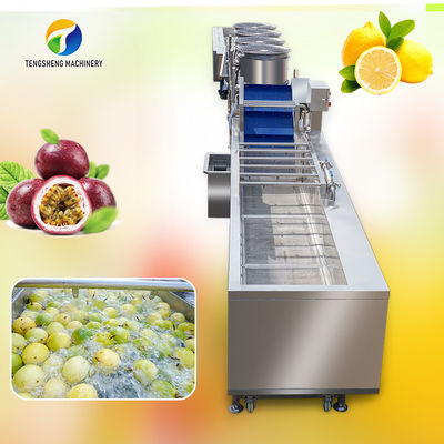 Nettoyage de bulle de passiflore comestible de passiflore et chaîne de production de tri de séchage