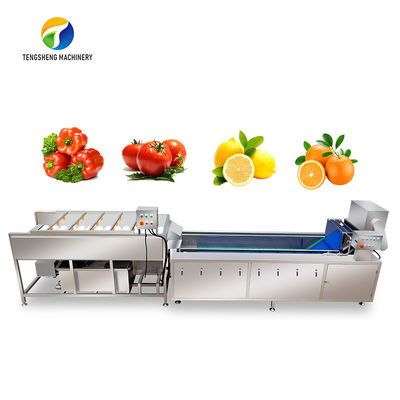 Chaîne de fabrication machine de fruits et légumes multifonctionnels de brosse de parallèle