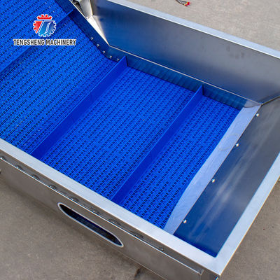 Supermarket Fruit And Vegetable Processing Line Cutting Lifting Washing