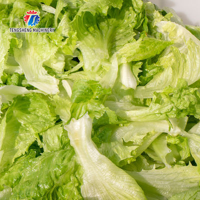 Fruit and vegetable washing machine automatic vegetable, fruit and fruit eddy current washing machine line