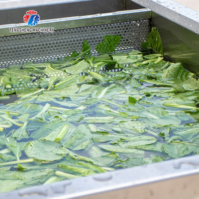 85KG Fruit and vegetable ultrasonic cleaning machine seafood cleaning machine antivirus manufacturers supply