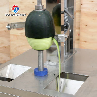0.75KW 380V The source manufacturer peeling and slicing machine pumpkin wax gourd papaya peel and slicing