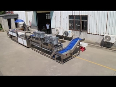 Faites passer votre ligne de transformation de fruits et légumes au niveau supérieur avec la brosse parallèle TS-M100